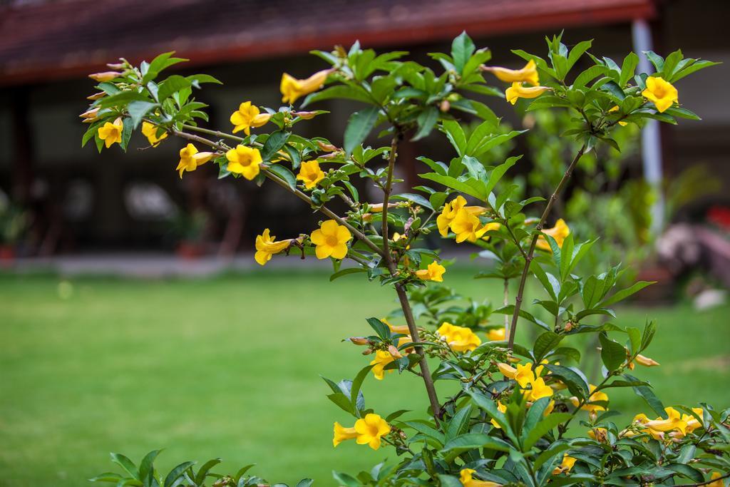 Shambaling Boutique Hotel Kathmandu Exterior photo